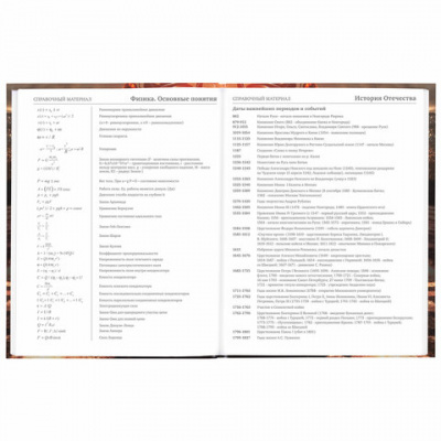 Дневник 5-11 класс 48 л., твердый, BRAUBERG, глянцевая ламинация, с подсказом, "Байк", 106867