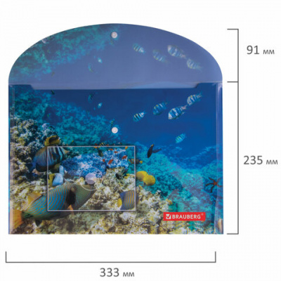 Папка-конверт с кнопкой BRAUBERG "SEA WORLD", А4, 160 мкм, до 100 листов, цветная печать, 228041