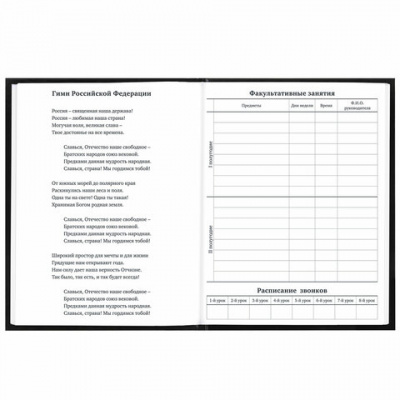 Дневник 1-11 класс 40 л., твердый, BRAUBERG, глянцевая ламинация, "Your choice", 106845
